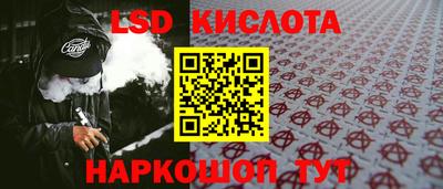 ГАЛЛЮЦИНОГЕННЫЕ ГРИБЫ Кингисепп