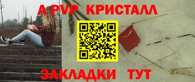 ГАЛЛЮЦИНОГЕННЫЕ ГРИБЫ Кингисепп