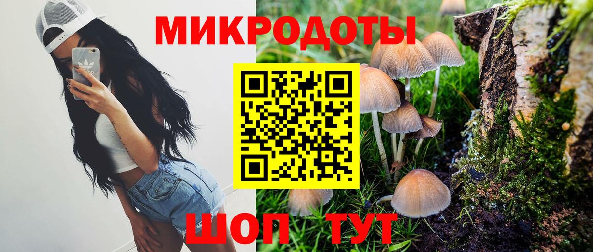 Псилоцибиновые грибы Magic Shrooms Кувандык
